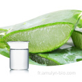 Curaçao Clarification macromoléculaire Jus de gel d&#39;Aloe vera